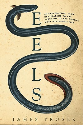 Eels: An Exploration, from New Zealand to the Sargasso, of the World's Most Mysterious Fish by James Prosek