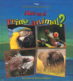 Que Es el Reino Animal? = What Is the Animal Kingdom? by Bobbie Kalman