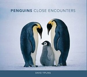 Penguins: Close Encounters by David Tipling