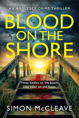 Blood on the Shore by Simon McCleave