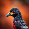 jamesstratton's profile picture