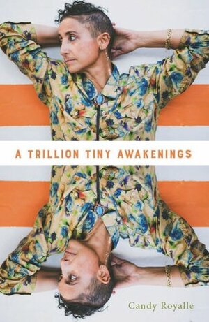 A Trillion Tiny Awakenings by Candy Royalle