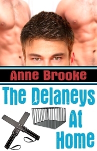 The Delaneys at Home by Anne Brooke