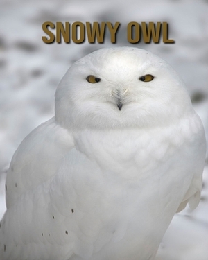 Snowy owl: Amazing Facts & Pictures by Jessica Joe