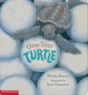 One Tiny Turtle by Nicola Davies, Jane Chapman