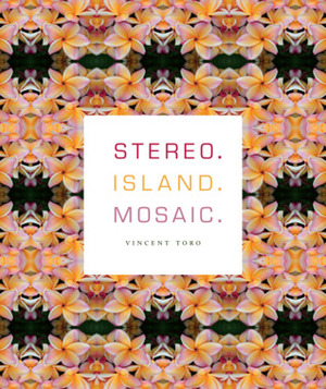 stereo. island. mosaic. by Vincent Toro