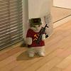 furdust's profile picture