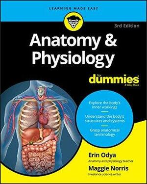 Anatomy and Physiology for Dummies by Erin Odya, Maggie A. Norris