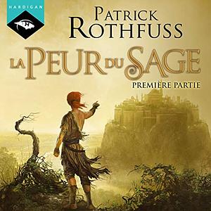 La peur du sage by Patrick Rothfuss