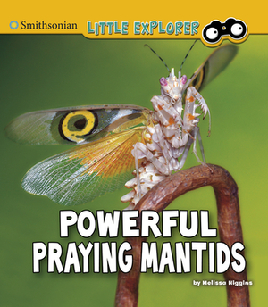 Powerful Praying Mantids by Melissa Higgins