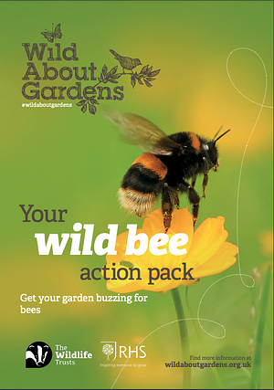 Your Wild Bee Action Pack: Get your garden buzzing for bees by Wild About Gardens