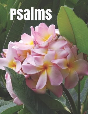 Psalms: Large print senior reader book by Holy Bible