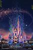 disneygirl3's profile picture