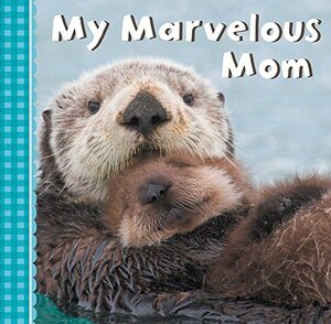 My Marvelous Mom by Sterling Publishing