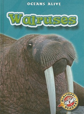 Walruses by Colleen Sexton