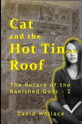 Cat and the Hot Tin Roof by David Wallace