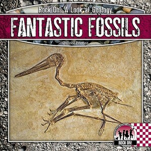 Fantastic Fossils by Christine Petersen