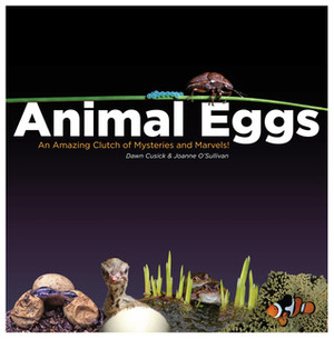 Animal Eggs: An Amazing Clutch of Mysteries and Marvels by Dawn Cusick