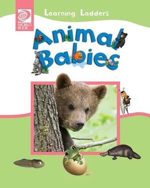 Animal Babies by 