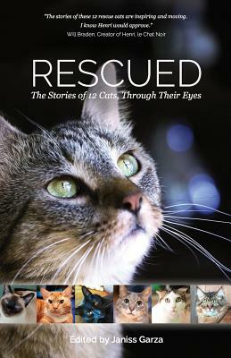 Rescued: The Stories of 12 Cats, Through Their Eyes by Liz Mugavero, Catherine Holm