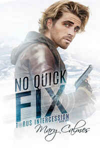 No Quick Fix by Mary Calmes