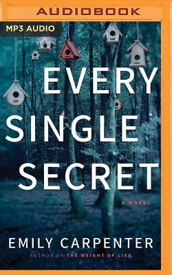 Every Single Secret by Emily Carpenter