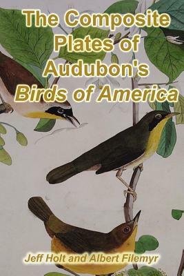 The Composite Plates of Audubon's Birds of America by Albert Filemyr, Jeff Holt