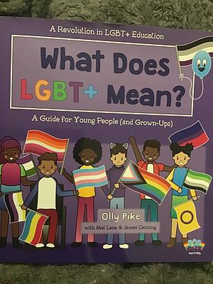 What Does LGBT+ Mean?: A Guide for Young People (and Grown-Ups) by Olly Pike, Mel Lane, James Canning (Equality educator)