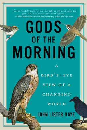 Gods of the Morning: A Bird's-Eye View of a Changing World by John Lister-Kaye