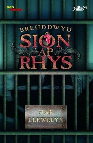 Breuddwyd Sion Ap Rhys by Haf Llewelyn