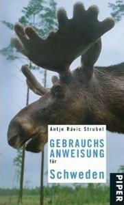 Gebrauchsanweisung für Schweden by Antje Rávik Strubel