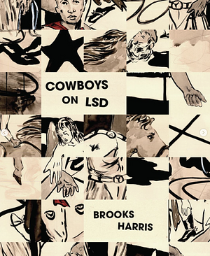 Cowboys on LSD by Brooks Harris