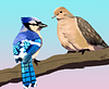 jaydove's profile picture