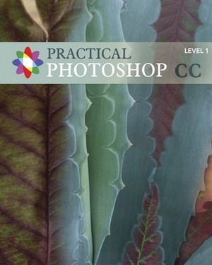 Practical Photoshop CC Level 1: Practical Photoshop CC Level 1 by Corrine Haverinen, Windsor Green, Donald Laird