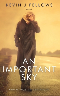 An Important Sky by Kevin J. Fellows