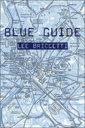 Blue Guide by Lee Briccetti