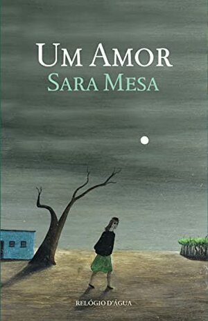 Um Amor by Sara Mesa
