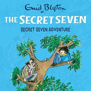 The Secret Seven Adventure by Enid Blyton