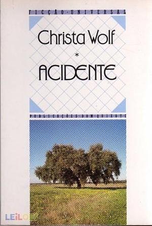 Acidente by Christa Wolf