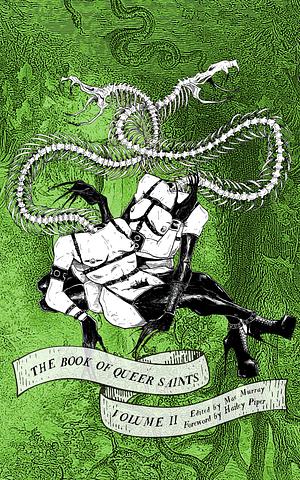 The Book of Queer Saints: Volume II by 