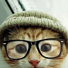 michelkelly's profile picture