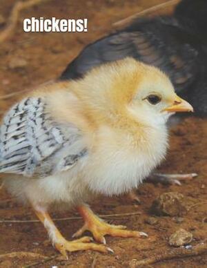 Chickens!: An extra-large print senior reader book with activities sheets by Celia Ross