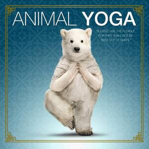 Animal Yoga by Willow Creek Press