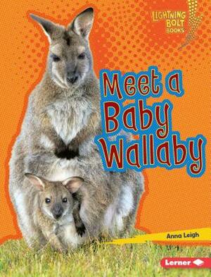 Meet a Baby Wallaby by Anna Leigh