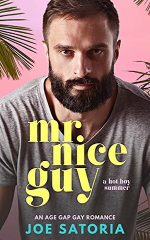 Mr Nice Guy: An Age Gap Gay Romance by Joe Satoria