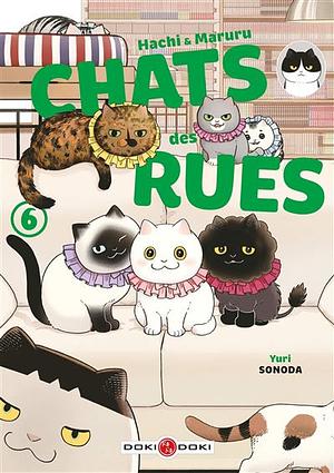 Hachi & Maruru — Chats des rues by Yuri Sonoda