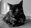 esthergreenwoodx's profile picture