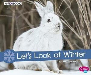 Let's Look at Winter: A 4D Book by Sarah L. Schuette