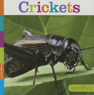 Crickets by Laura K. Murray