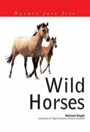 Wild Horses by Michael Bright, Nigel Dunstone